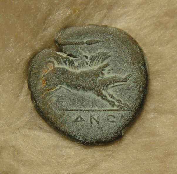 阿尔特米德古典钱币中国微拍第七期 古希腊 意大利半岛 阿普利亚 阿尔皮城邦铜币