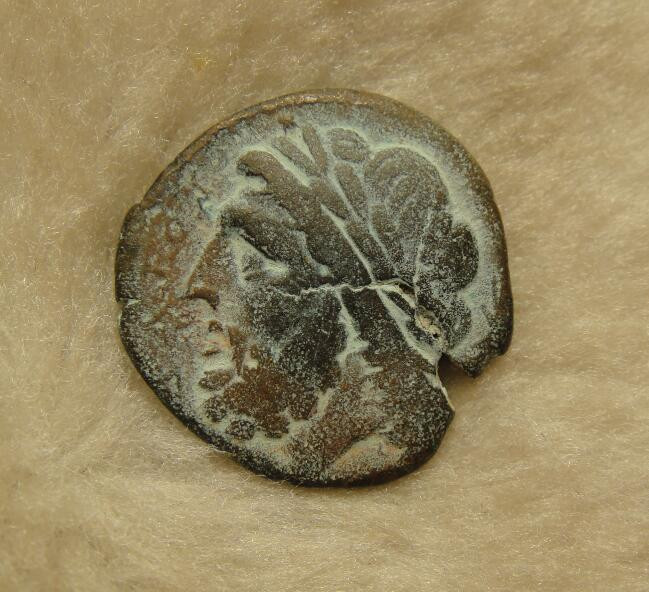 阿尔特米德古典钱币中国微拍第七期 古希腊 意大利半岛 阿普利亚 阿尔皮城邦铜币