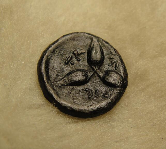 阿尔特米德古典钱币中国微拍第七期 古希腊意大利半岛 卢卡尼亚 梅塔庞顿城邦 稀有铜币