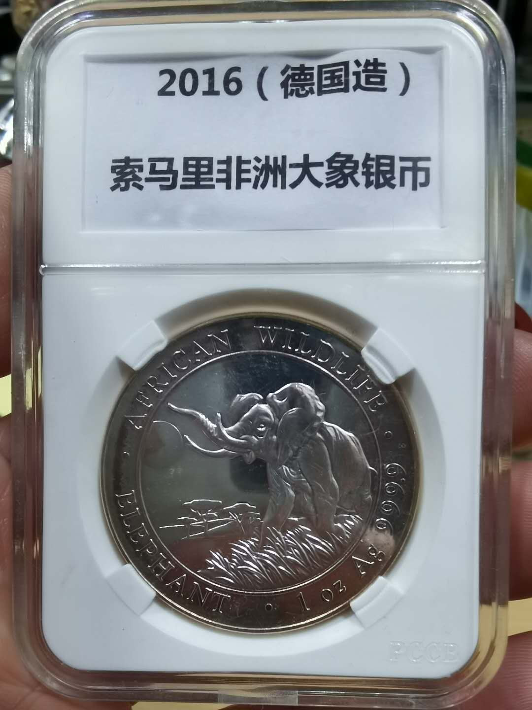 马甸外币专卖微拍第二十九期，银币专场，陆续上新，欢迎关注 2016年索马里大象1盎司银币，品相如图