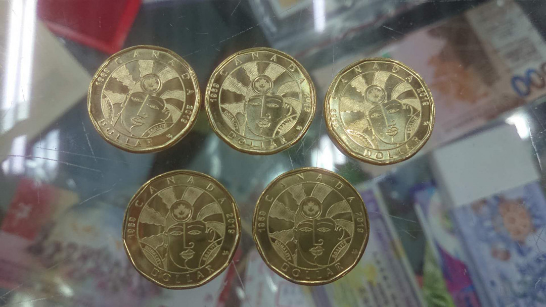 【囧羊收藏】精选微拍第五场~世界硬币（套装）专场（陆续上架） 2019年加拿大1元纪念硬币 平等硬币（同性恋部分合法化50周年）全新5枚一起拍
