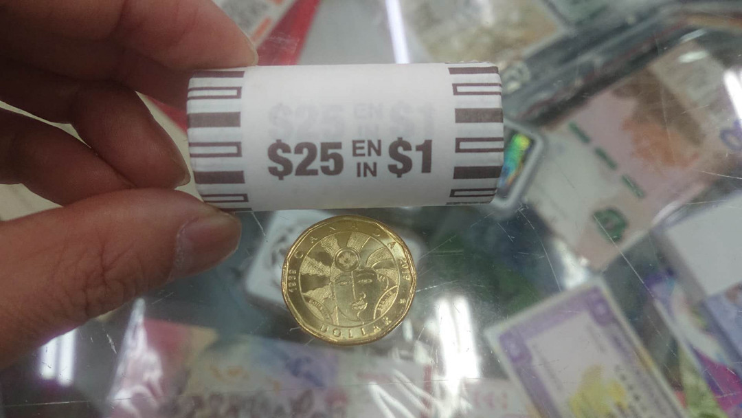 【囧羊收藏】精选微拍第五场~世界硬币（套装）专场（陆续上架） 2019年加拿大1元 平等硬币 原卷25枚一起拍（有一头的第一枚有产生斑点，见图）