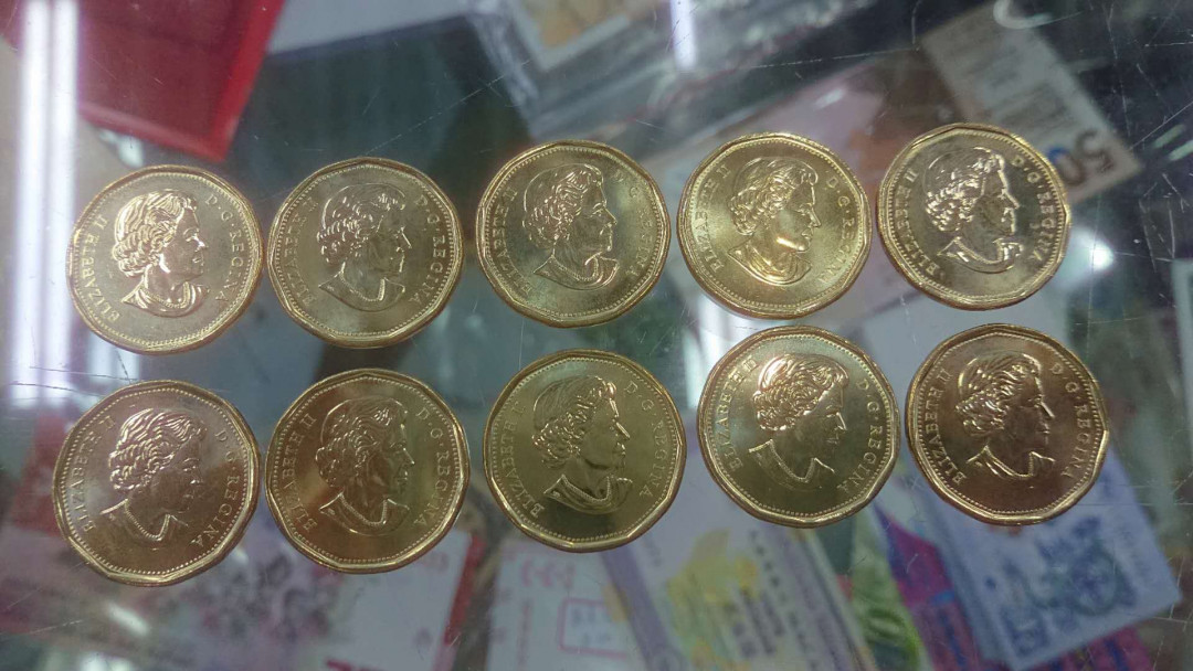 【囧羊收藏】精选微拍第五场~世界硬币（套装）专场（陆续上架） 2019年加拿大1元纪念硬币 10枚一起拍 平等硬币（同性恋部分合法化50周年）