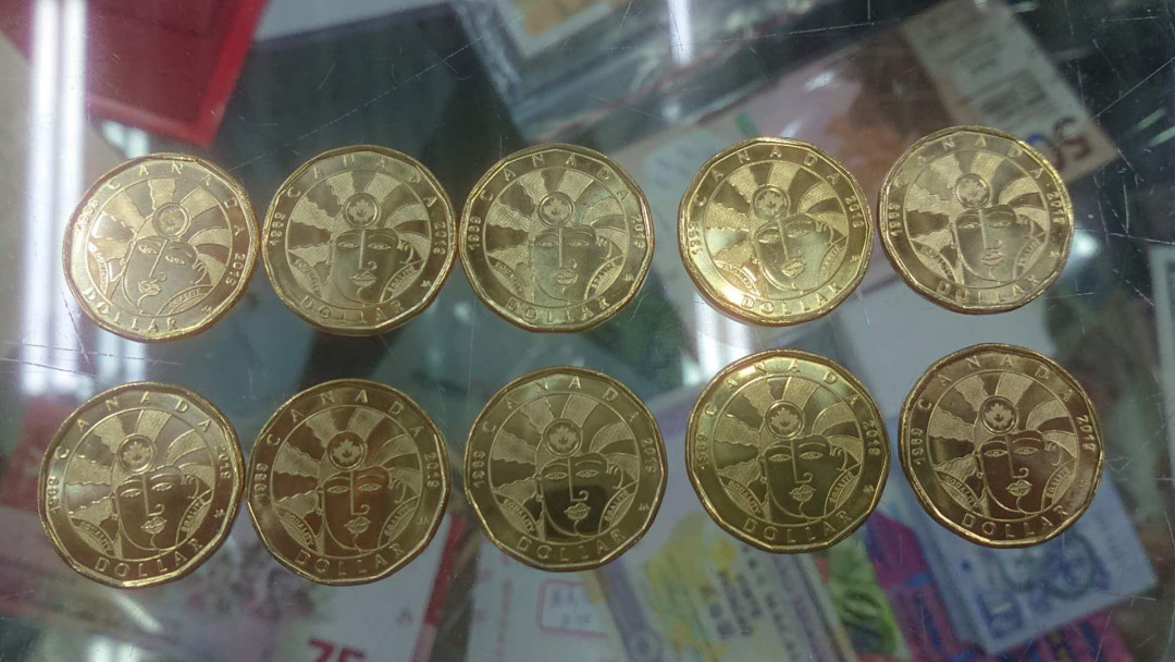 【囧羊收藏】精选微拍第五场~世界硬币（套装）专场（陆续上架） 2019年加拿大1元纪念硬币 10枚一起拍 平等硬币（同性恋部分合法化50周年）