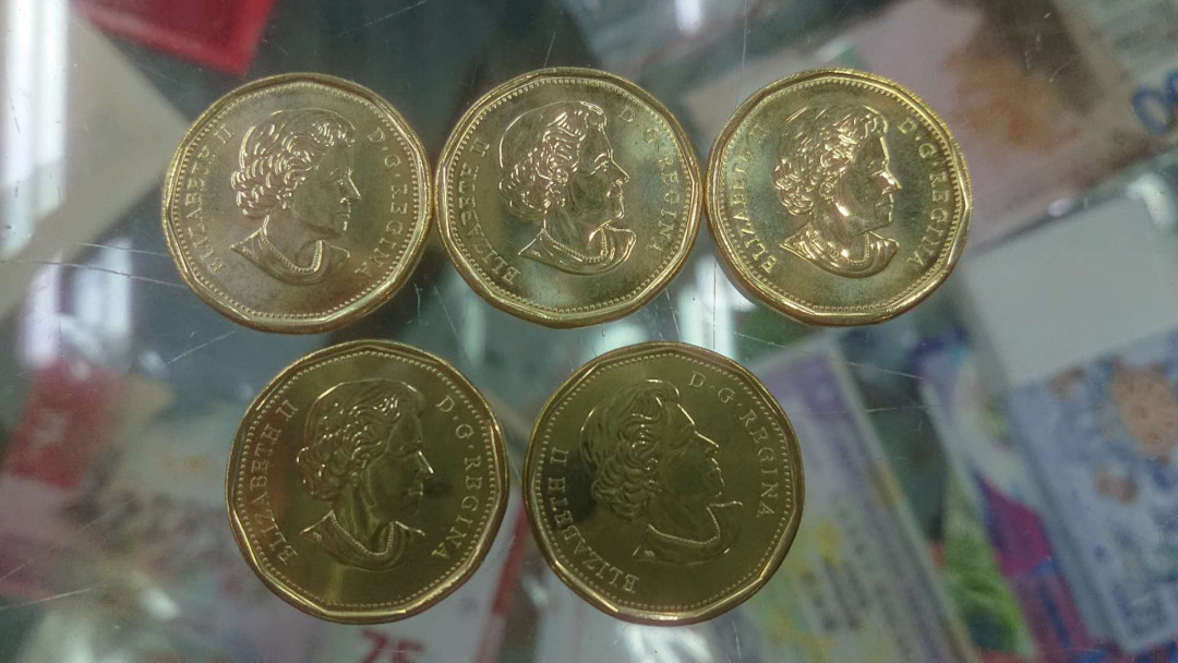 【囧羊收藏】精选微拍第五场~世界硬币（套装）专场（陆续上架） 2019年加拿大1元纪念硬币 平等硬币（同性恋部分合法化50周年）全新5枚一起拍