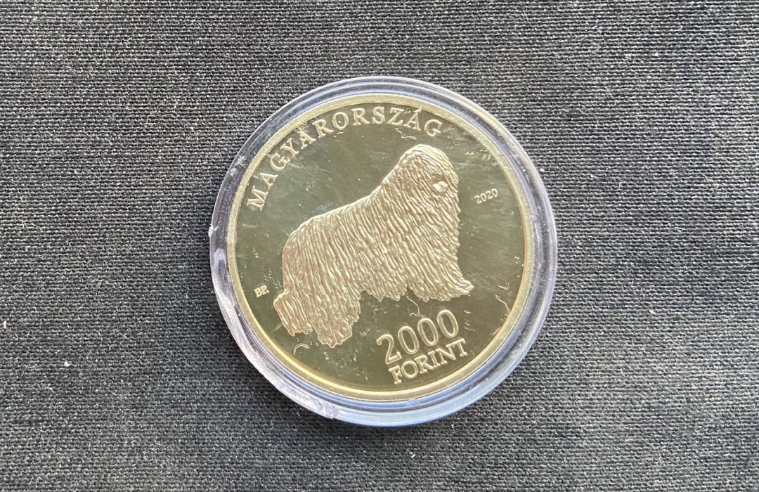 【币观天下】第130场钱币拍卖～ 【匈牙利新币】匈牙利名犬第二枚