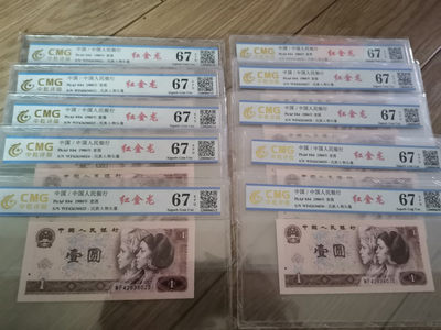 801红金龙标十 - 801红金龙标十