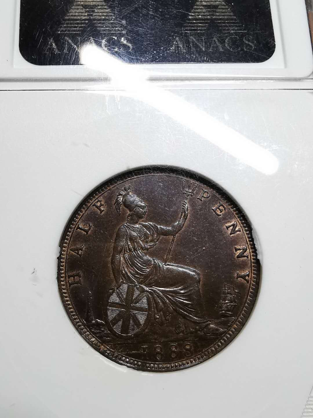 凡希社世界钱币微拍第一百四十二期 1888英国小维1/2便士ANACS-MS63