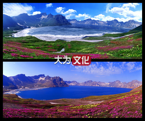 【大为文化】 世界纸币 / 冬季微拍 / 第四期 【2020.12.11】 朝鲜 50元 1978年 样票  P-21s  UNC-（约九五品）  