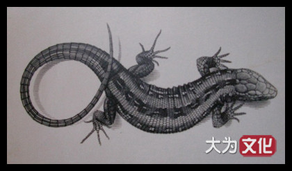 【大为文化】 世界纸币 / 冬季微拍 / 第四期 【2020.12.11】 丹麦  500克朗  1988年 P-52d  PMG66e  豹子号222