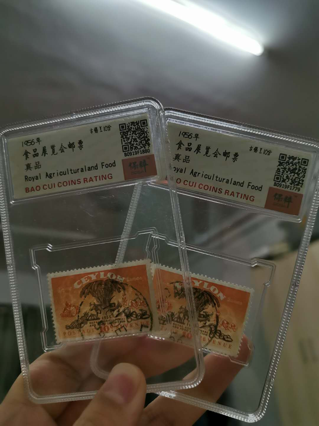 闽南收藏拍卖第1期 食品展览会邮票两枚一起，评级带盒