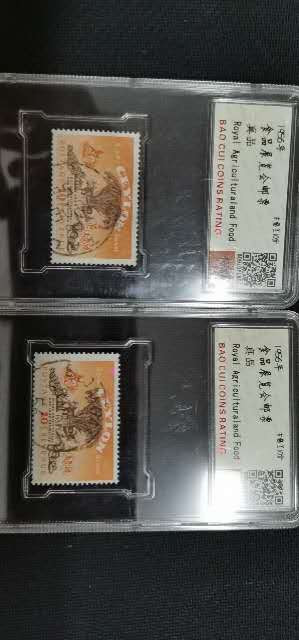 闽南收藏拍卖第1期 食品展览会邮票两枚一起，评级带盒