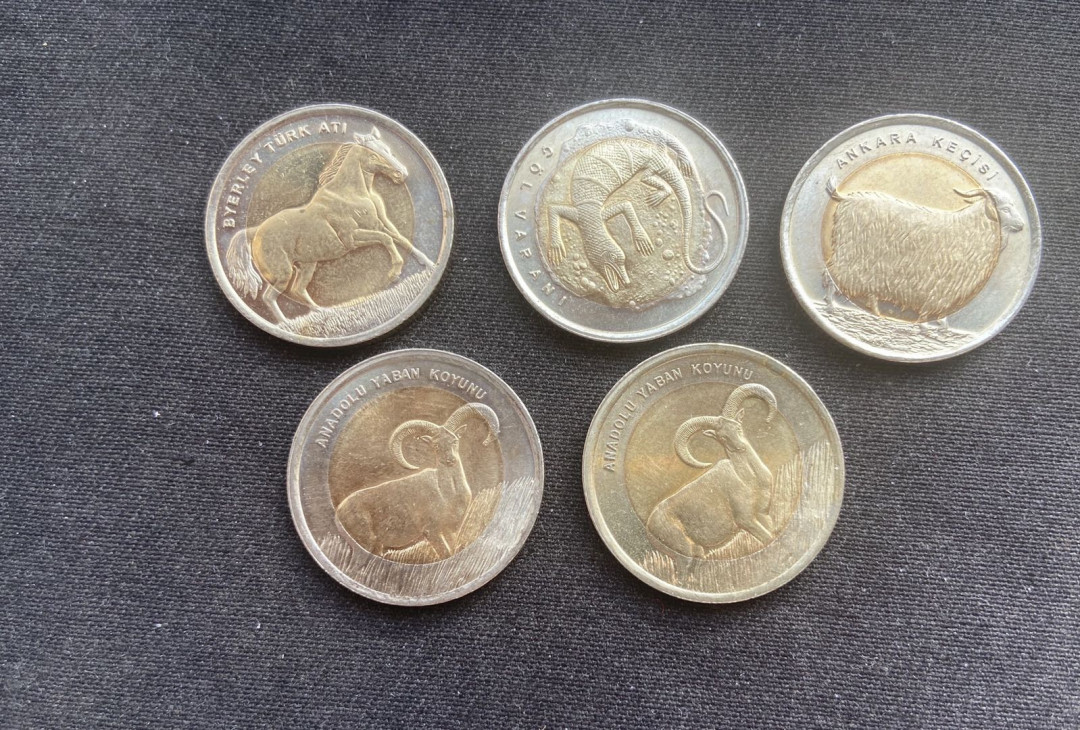 【币观天下】第131期钱币拍卖～ 【土耳其】土耳其双色动物币5枚