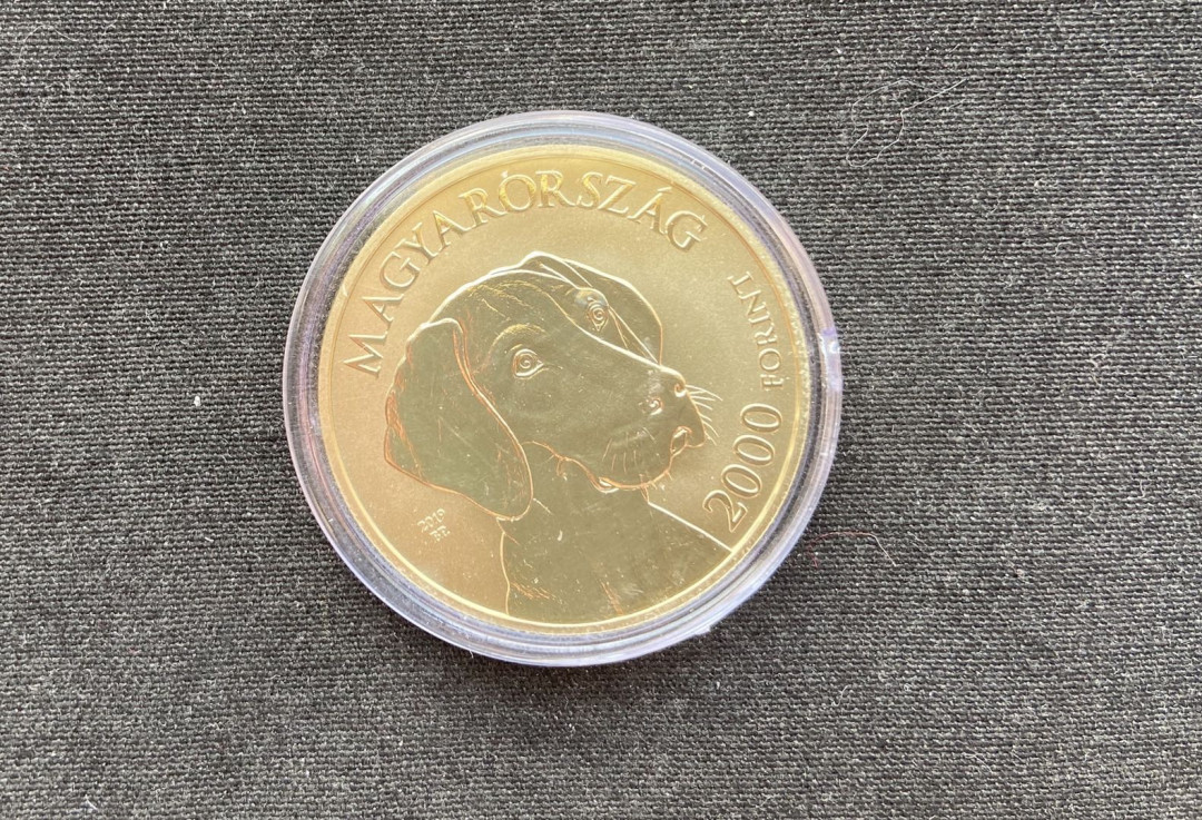 【币观天下】第131期钱币拍卖～ 【匈牙利】匈牙利名犬系列第一枚-维斯拉猎犬