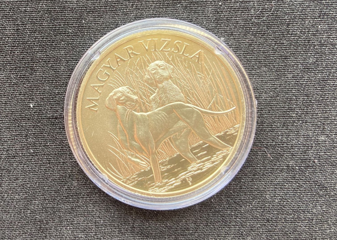 【币观天下】第131期钱币拍卖～ 【匈牙利】匈牙利名犬系列第一枚-维斯拉猎犬
