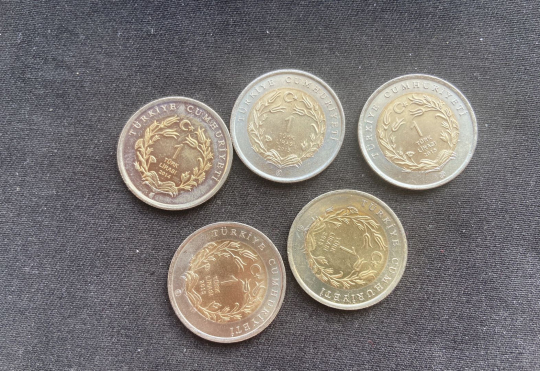 【币观天下】第131期钱币拍卖～ 【土耳其】土耳其双色动物币5枚