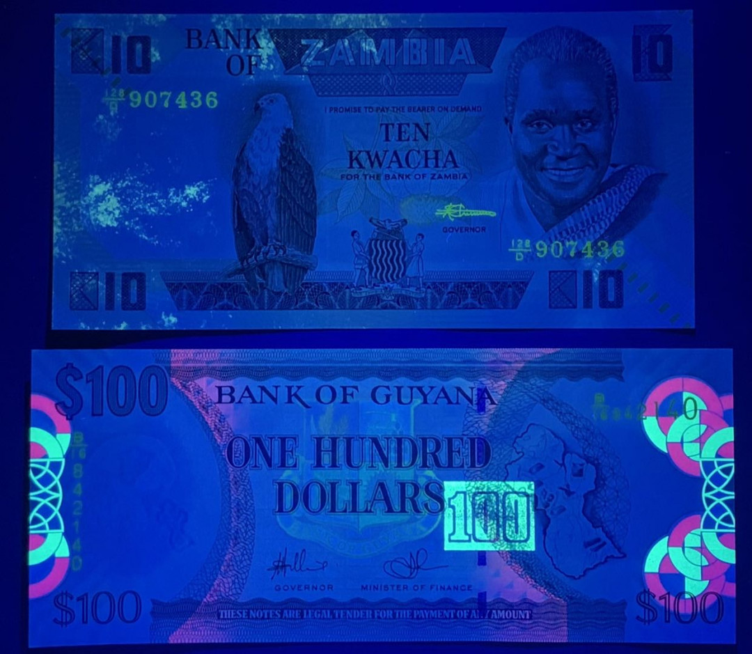 紫瑗钱币—微拍第122期—纸币场 赞比亚 1986-88年 10克瓦查 （P-26e）圭亚那 2006年 100元 （P-36）2枚一组 UNC