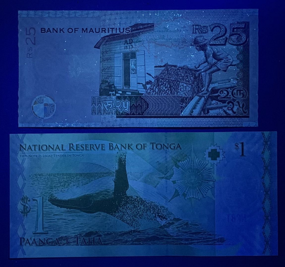 紫瑗钱币—微拍第122期—纸币场 毛里求斯 2006年 华人朱梅麟 25卢比 （P-49）汤加 2014年 1番加（P-37b）2枚一组 UNC