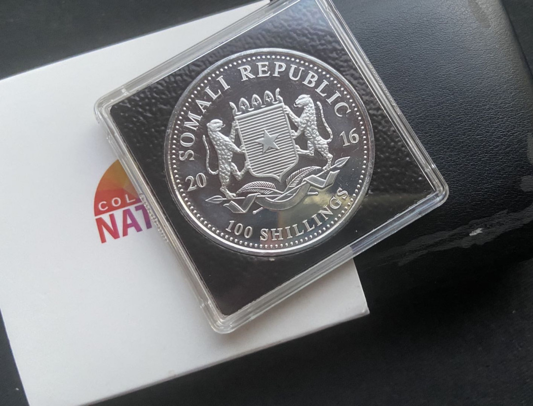 【币观天下】第132场钱币拍卖～  索马里2016年100先令，1盎司万足银 多彩自然之“归来-霞光万丈”，UV亮光饱满彩色纪念银币