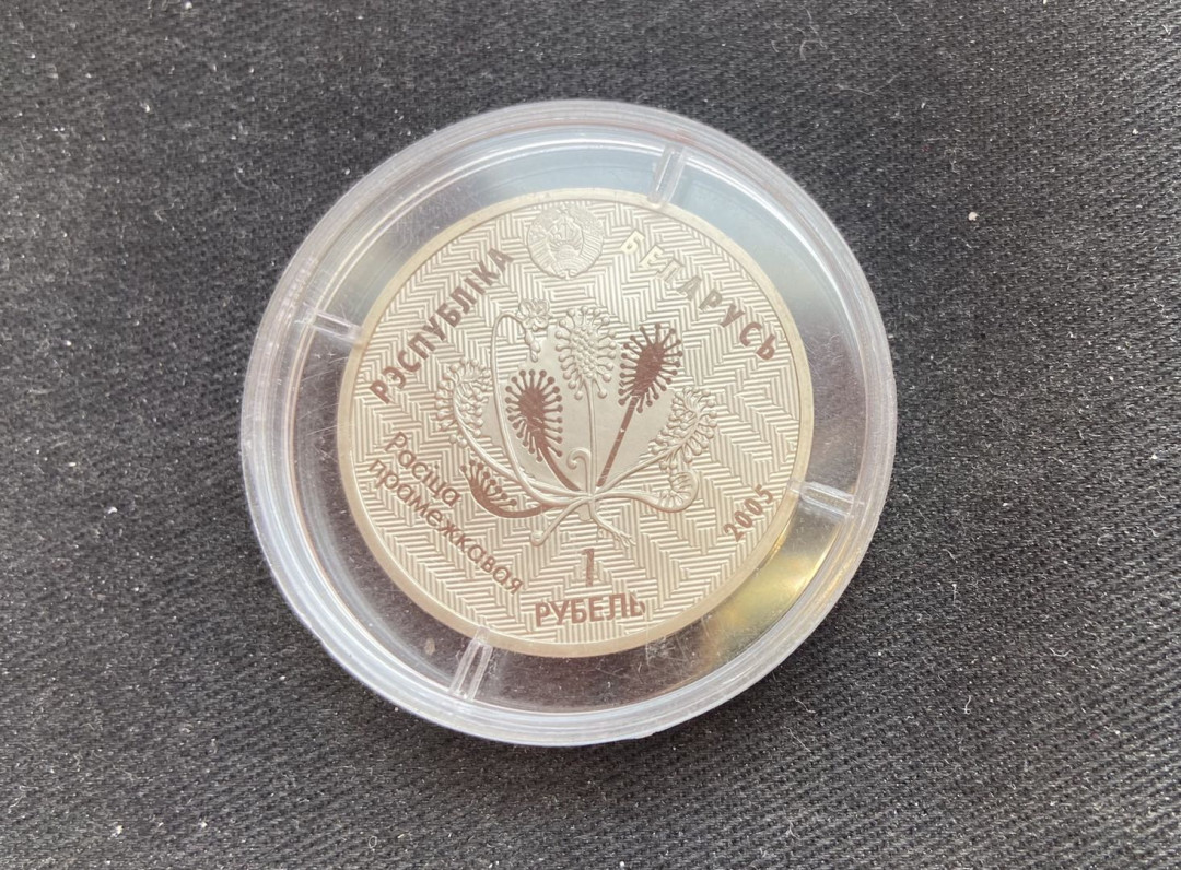 【币观天下】第132场钱币拍卖～  白俄罗斯 2005年 珍稀动物猫头鹰 1卢布镍币