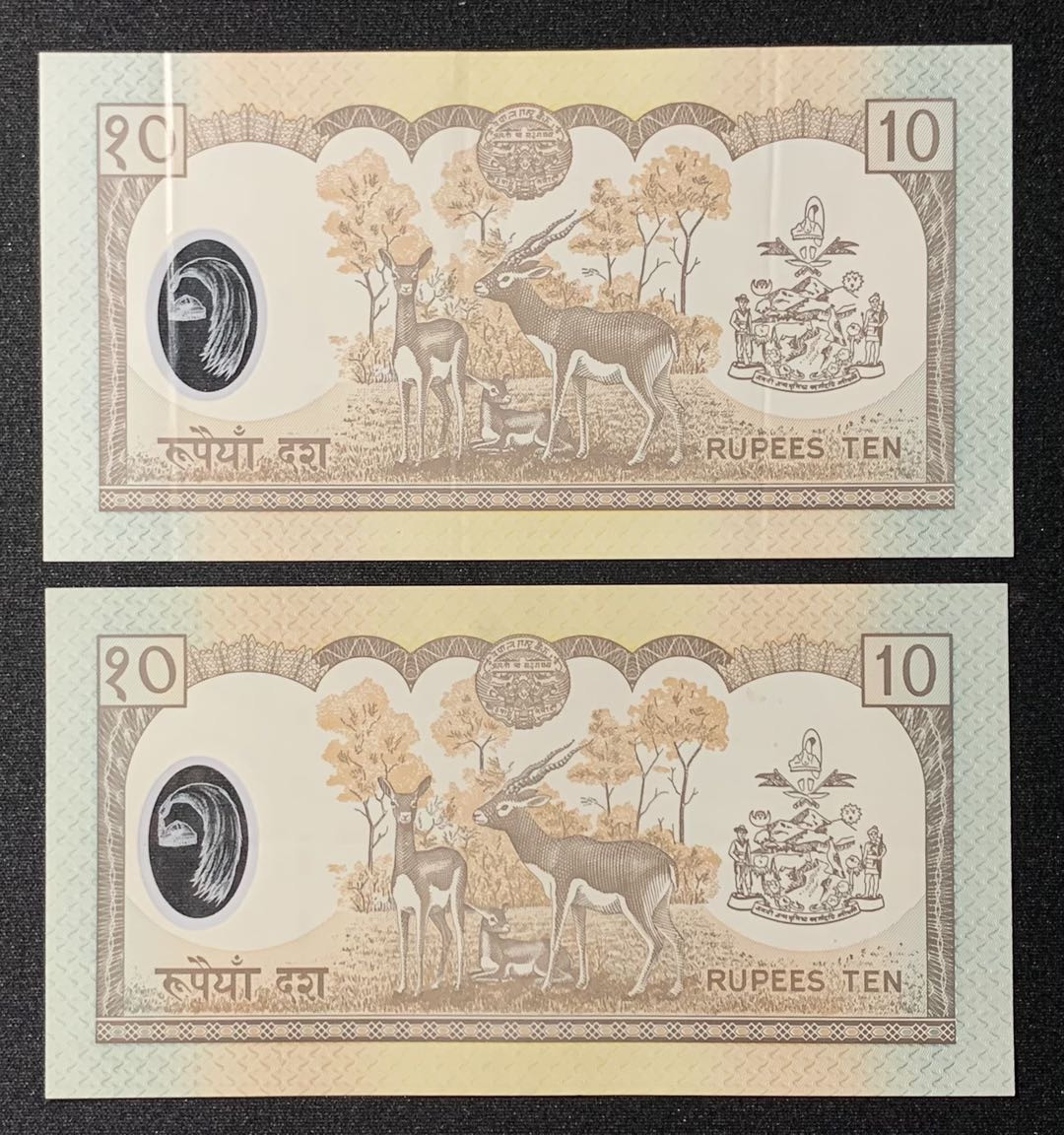 紫瑗钱币—微拍第131期—纸币场 尼泊尔 2005年 中央银行 贾南德拉国王 10卢比 一张UNC一张流通品 2枚一组 （P-54）