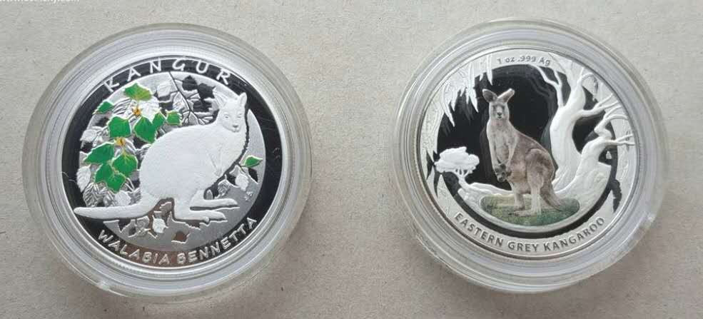 【币观天下】第134场拍卖【元旦场】 澳洲波兰2013年袋鼠彩色银币两枚  两国联合发行