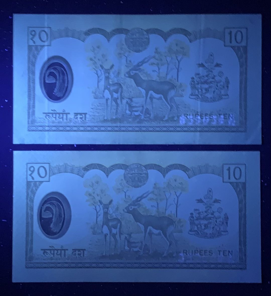 紫瑗钱币—微拍第131期—纸币场 尼泊尔 2005年 中央银行 贾南德拉国王 10卢比 一张UNC一张流通品 2枚一组 （P-54）