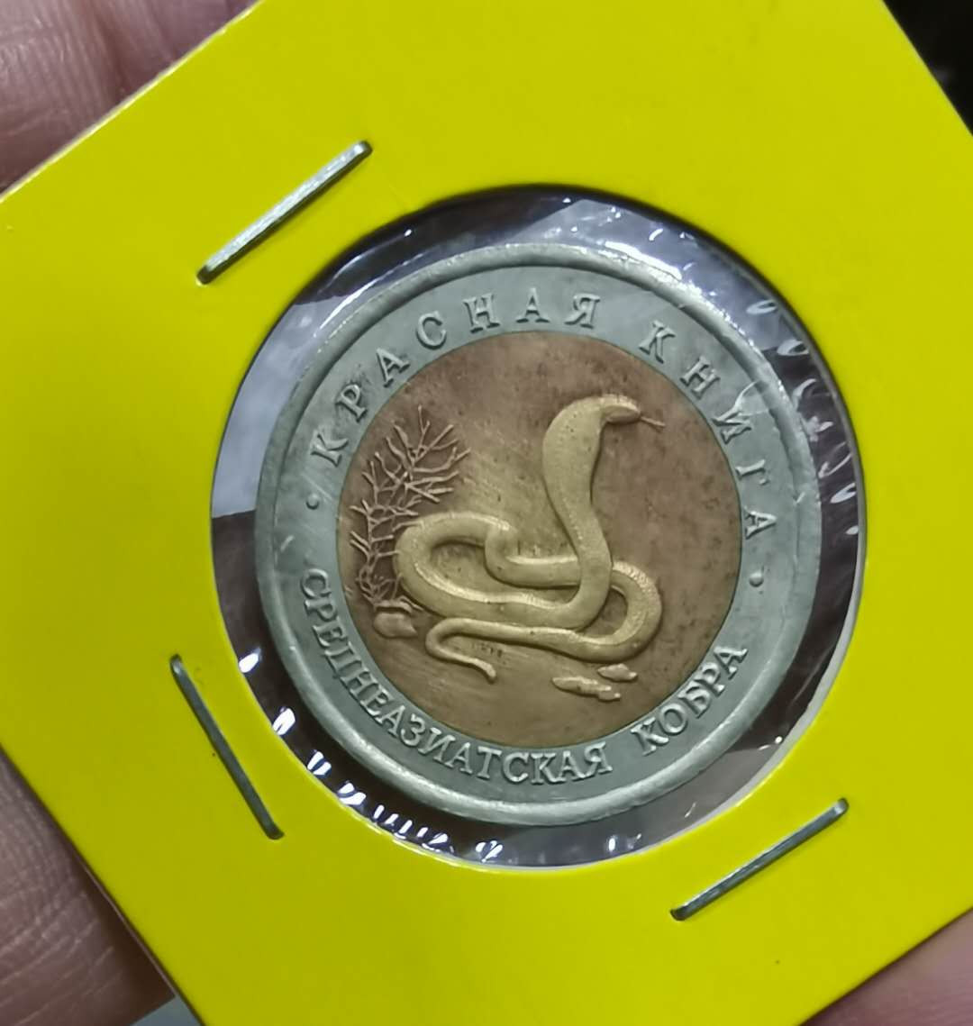 北京马甸外币专卖微拍第三十七期，流通币，非贵金属纪念币专场，陆续上新，欢迎关注 1992年俄罗斯野生动物双金属纪念币，品相如图
