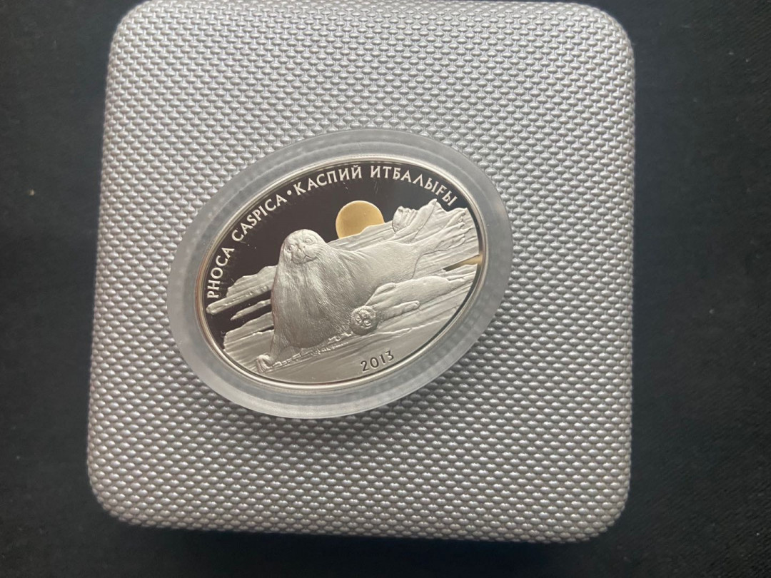 【币观天下】第136期拍卖【直播拍卖】 【哈萨克斯坦】2013年海豹镀金小银币～