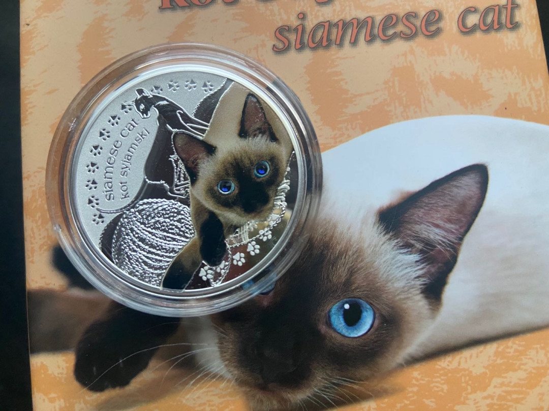 【币观天下】第136期拍卖【直播拍卖】 【纽埃】2014猫猫系列之暹罗猫