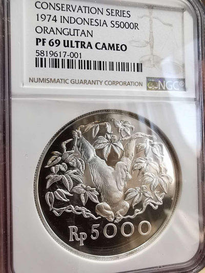 凡希社世界钱币微拍第一百四十六期 - 荐！1974印尼红毛猩猩5000R大银NGC-PF69UC热门收藏级！