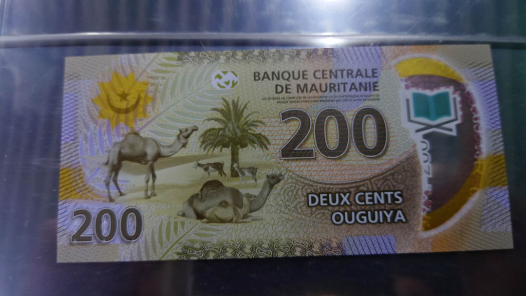 【囧羊收藏】精选微拍第12期（2021年第三期）世界纸币场 2017年毛里塔尼亚200 塑料钞 全新UNC