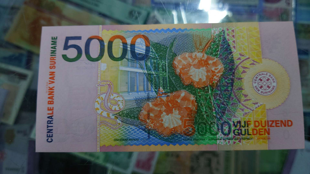 【囧羊收藏】精选微拍第12期（2021年第三期）世界纸币场 2000年苏里南5000 全新绝品 居中很好