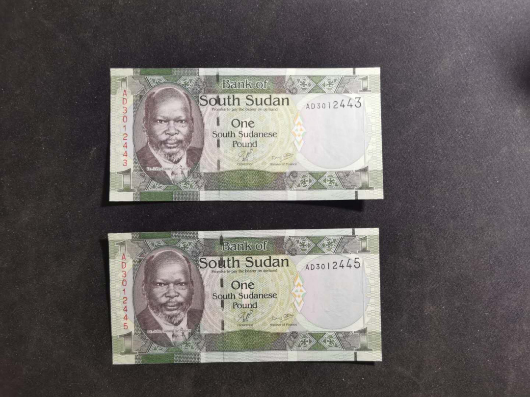 【鲸贝乐淘】千字文·第“晋楚更霸，赵魏困横”号拍卖 【南苏丹🇸🇩 】1元，全新全品UNC ，两张