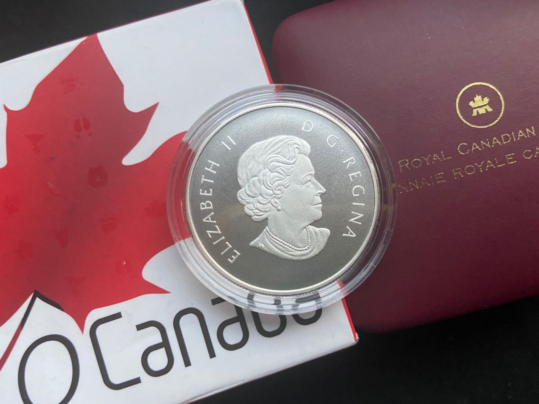 【币观天下】第137场钱币拍卖【直播拍卖】【今年最后一场】 【加拿大】2013北极熊银币