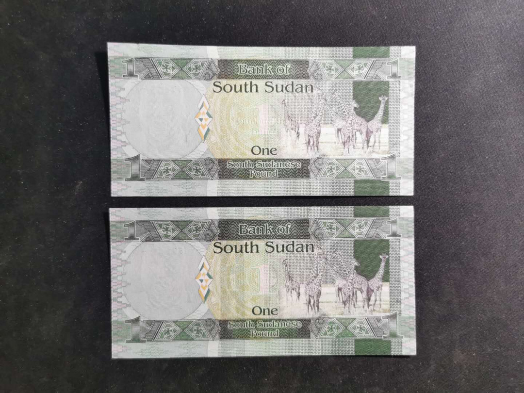 【鲸贝乐淘】千字文·第“晋楚更霸，赵魏困横”号拍卖 【南苏丹🇸🇩 】1元，全新全品UNC ，两张