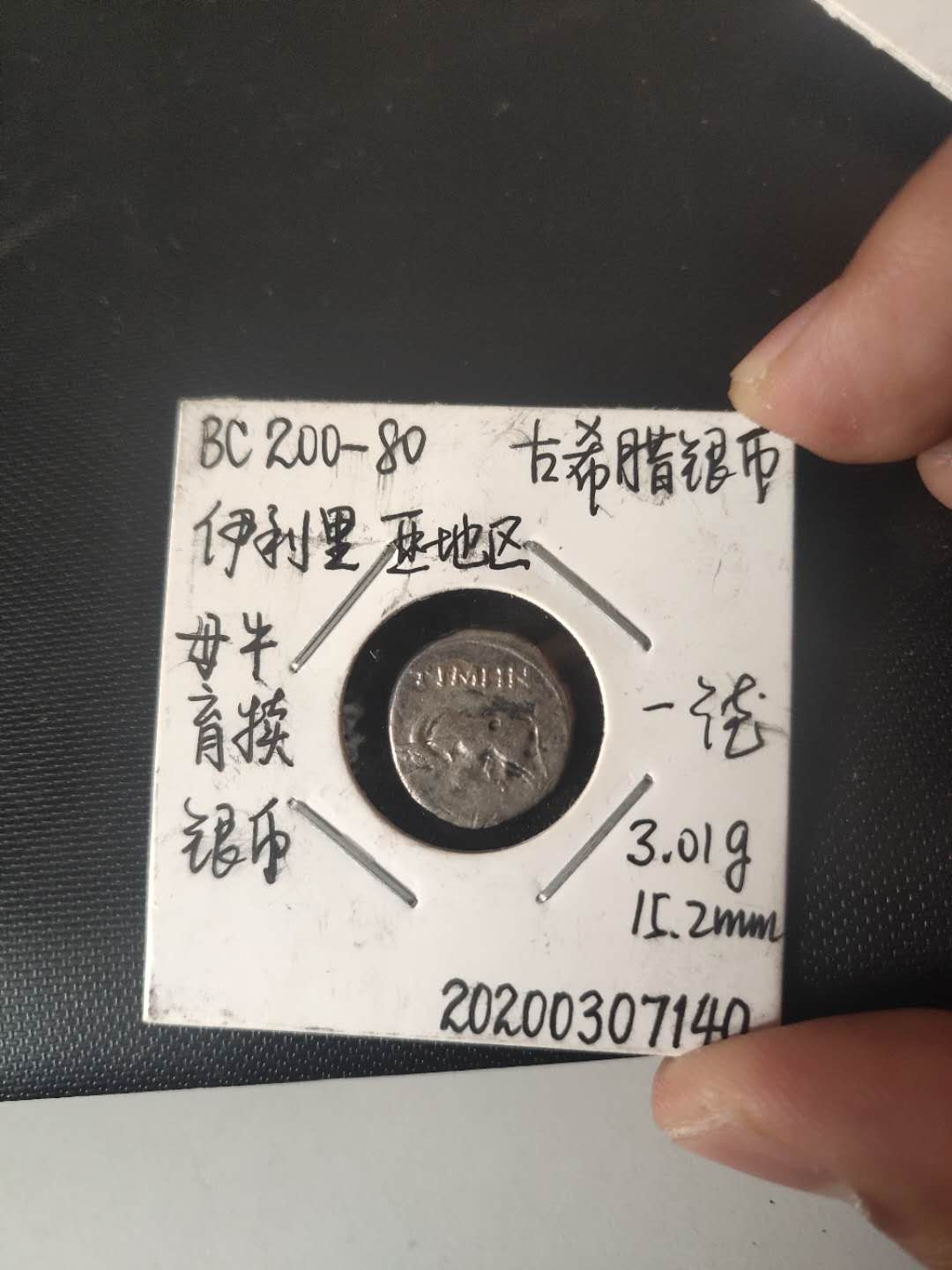 N&C第4期: 中外古钱币专场 古希腊伊利里亚地区母牛舐犊1德拉克马银币 名誉品