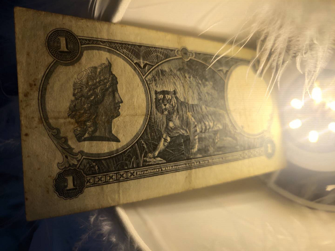 N&C第5期 最后一拍: 外国纸币裸钞专场 叻币 好东西不多说 品如图 还算硬朗 原票难得