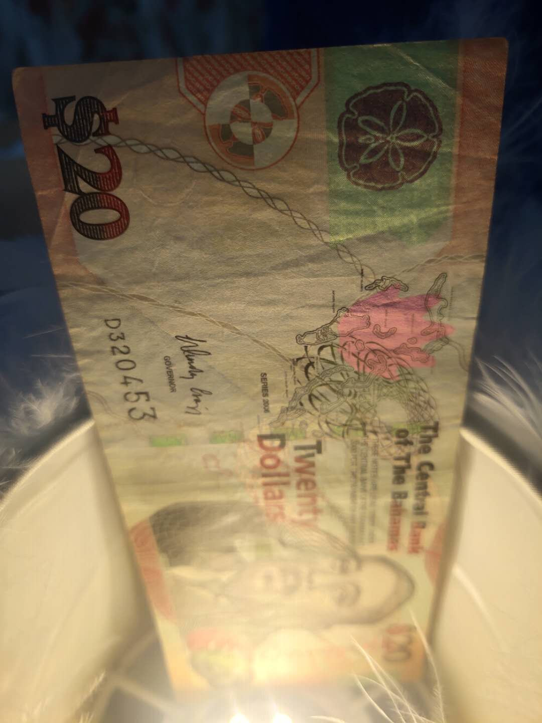 N&C第6期: 新春混合场 巴哈马20元 流通品