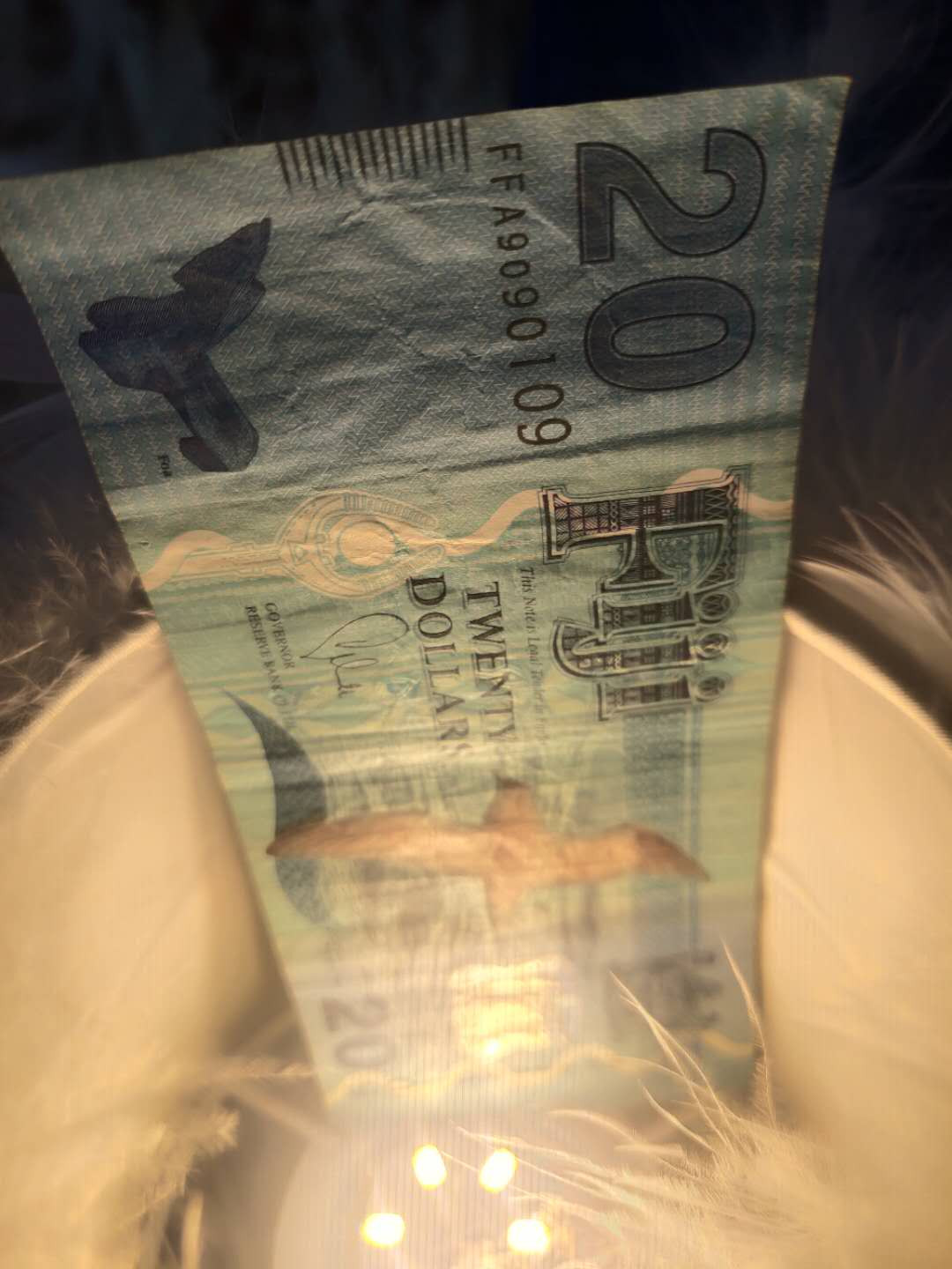 N&C第6期: 新春混合场 斐济20元 流通品