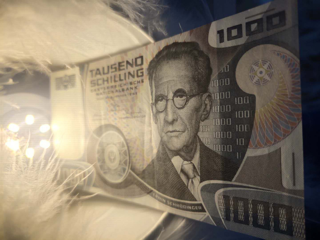 N&C第5期 最后一拍: 外国纸币裸钞专场 薛定谔奥地利1000先令 九品有折