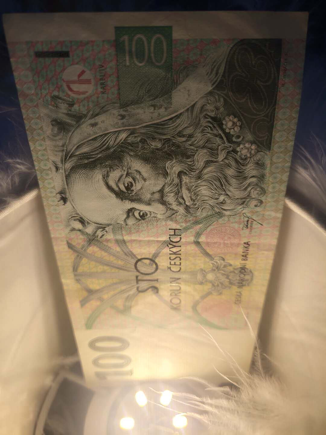 N&C第5期 最后一拍: 外国纸币裸钞专场 捷克100克朗 流通八品