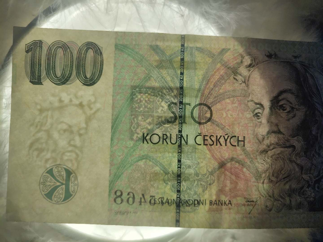 N&C第5期 最后一拍: 外国纸币裸钞专场 捷克100克朗 流通八品