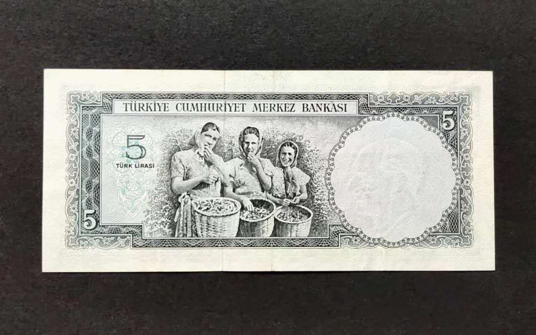N&C第5期 最后一拍: 外国纸币裸钞专场 土耳其1930年早期 深色版本 国父凯末尔 雕刻精美 收获榛子 AU品相