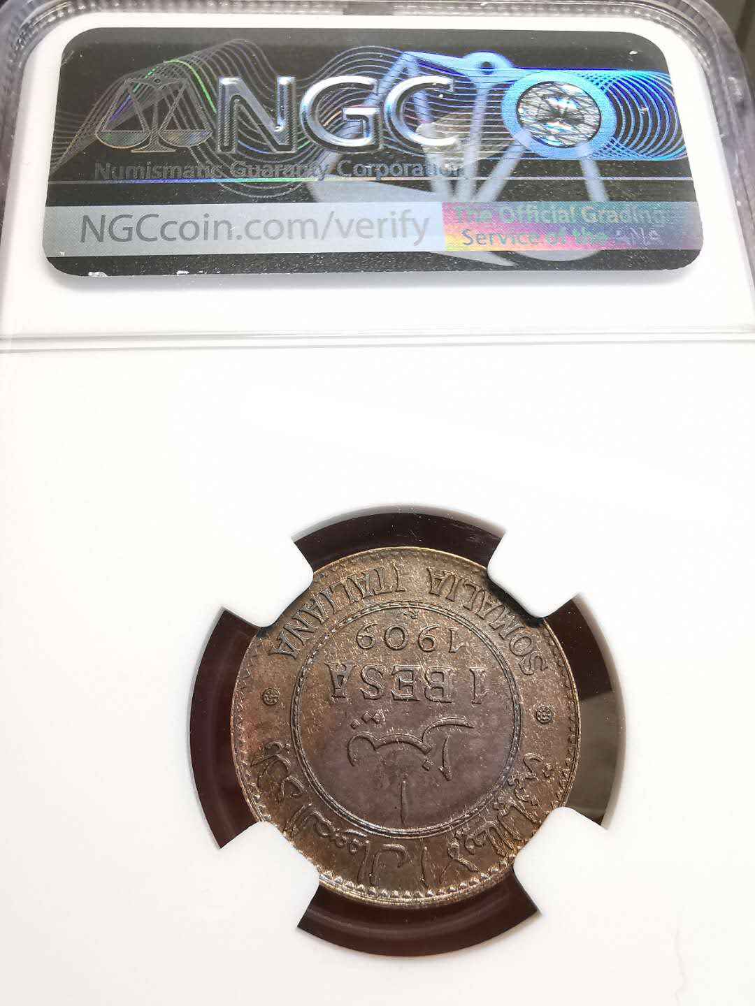 凡希社世界钱币微拍第一百四十七期年末捡漏专场 荐！1909意属索马里BESA铜NGC-UNCD见描述