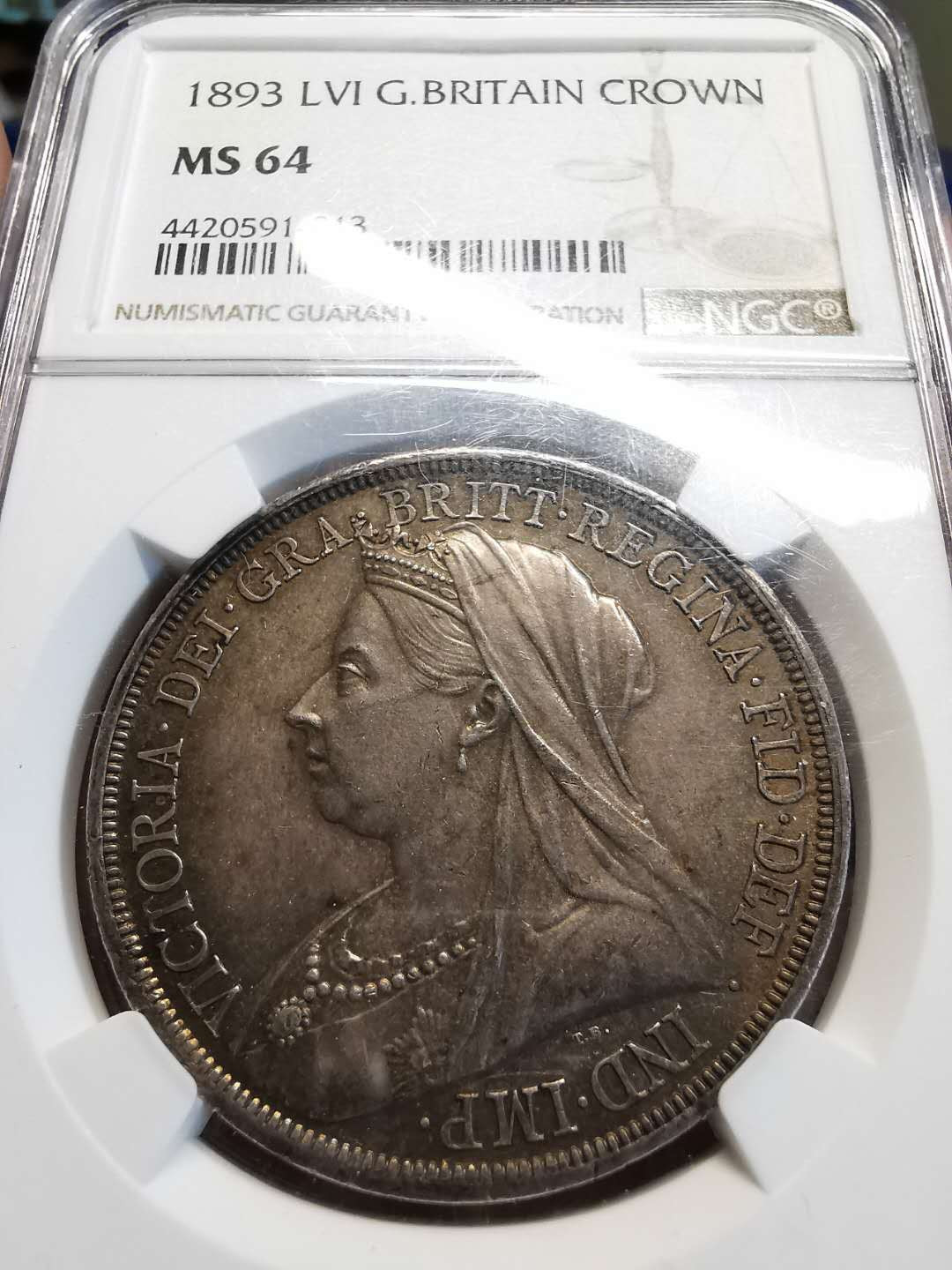 凡希社世界钱币微拍第一百四十七期年末捡漏专场 荐！1893英国老维批纱马剑NGC-MS64包浆醇厚！