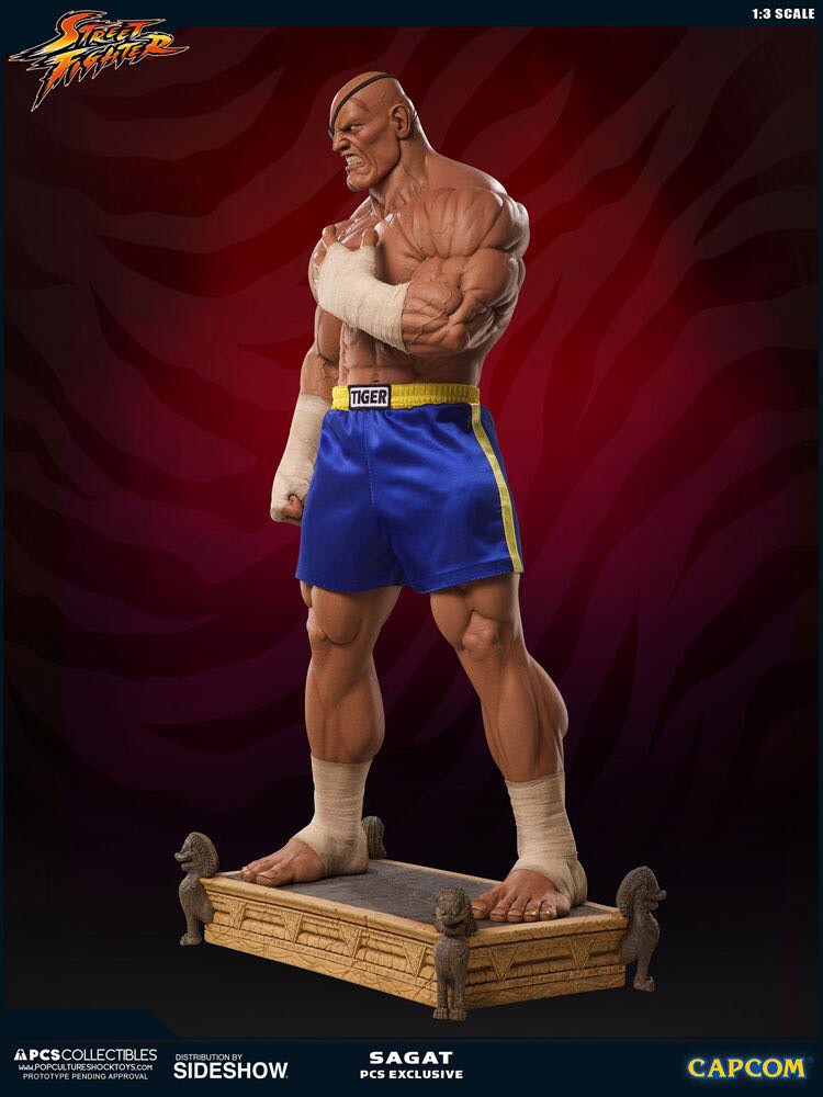 零元拍：Pop Culture Shock ：1/3《街头霸王》- Sagat/沙加特903243