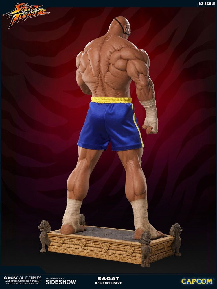 零元拍：Pop Culture Shock ：1/3《街头霸王》- Sagat/沙加特903243