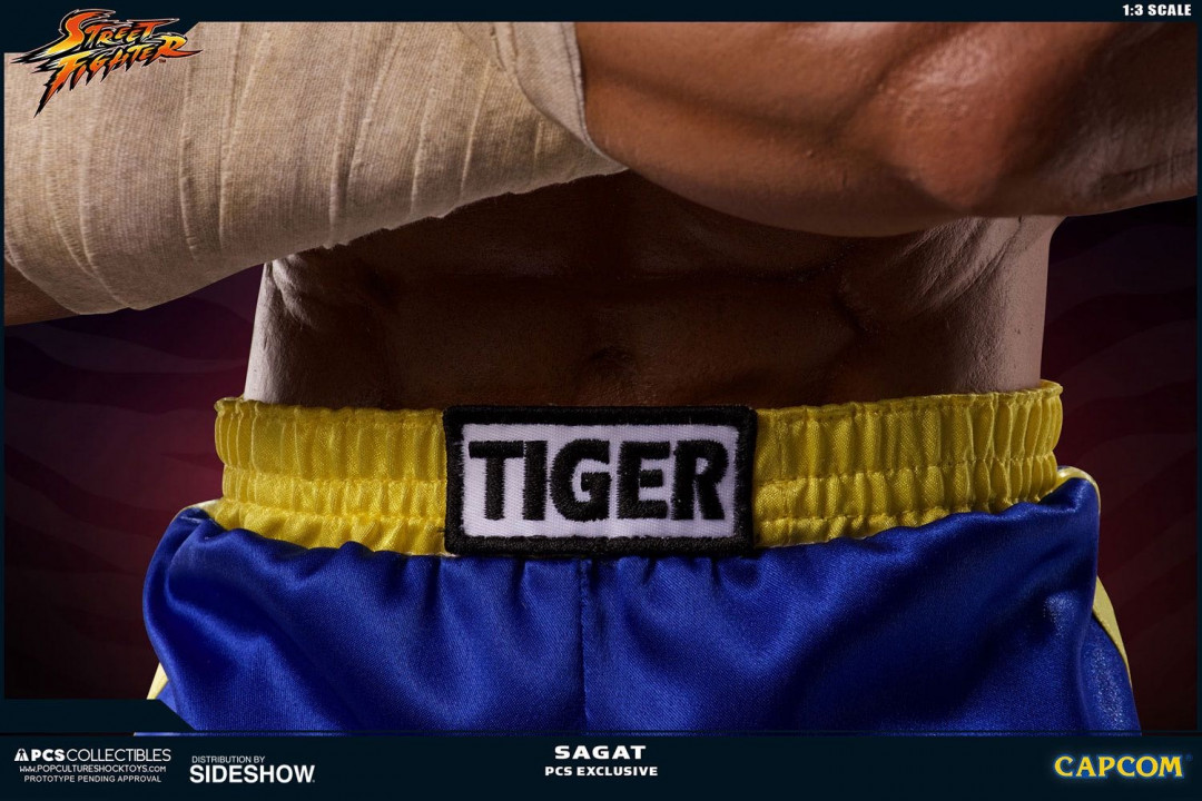零元拍：Pop Culture Shock ：1/3《街头霸王》- Sagat/沙加特903243