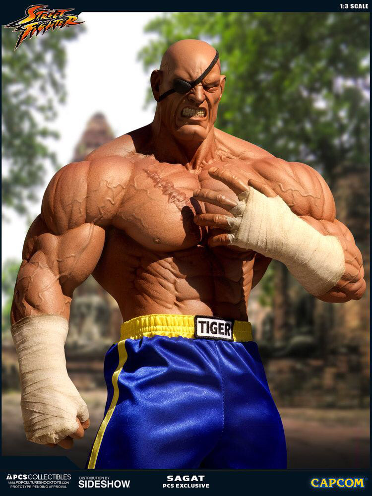 零元拍：Pop Culture Shock ：1/3《街头霸王》- Sagat/沙加特903243